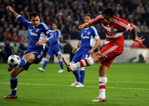 球迷们能够 球迷们能够